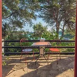 Meneghello Palmizana Art Hotel