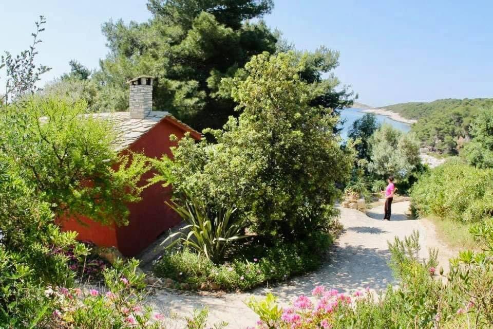 Meneghello Palmizana Art Villa *
