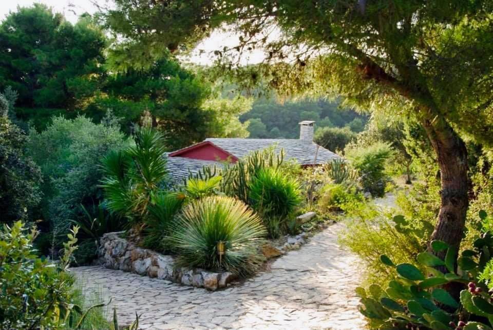 Meneghello Palmizana Art Hvar Town